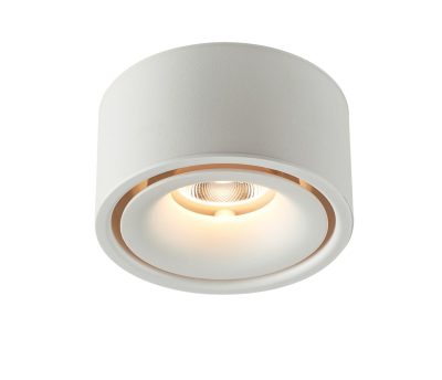 LED Спот Надграден 10W Бел 4000K BRIDGELUX-CHIP