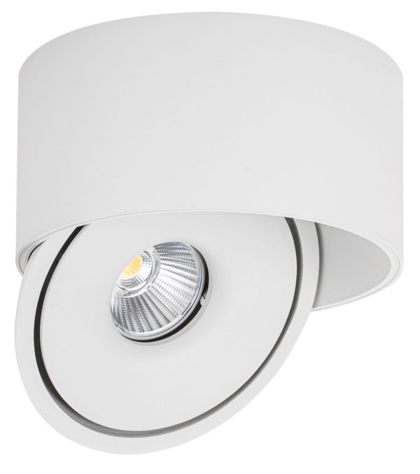LED COB Светилка 30W Округла Ротативна Бела – BRIDGELUX