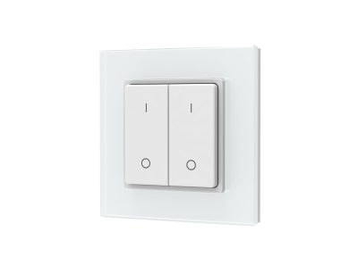 DIM REMOTE CONTROL 2ZONE 4KEY PF1-2(G) WHITE