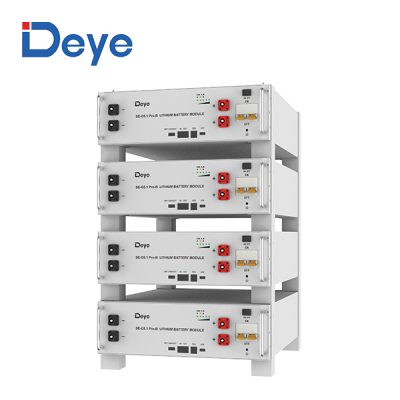 DEYE Low Voltage Lithium Battery 5.12kWh 51.2V 100AH